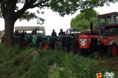 22_Historische_Pflugtage_Brokhausen_2014_09