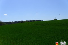 5_Ausfahrt_080516_16