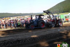 Traktorpulling_Wahrendahl_201502